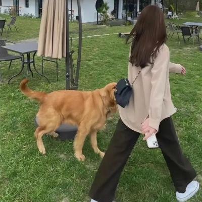 安居